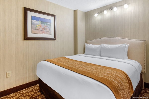 COMFORT INN AND SUITES OCEANFRONT (Virginia Beach)